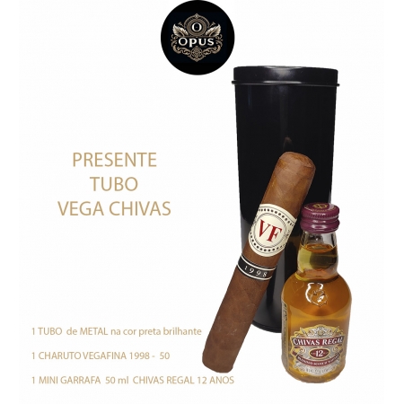 Loira pelada gostosa transando pelo cuzinho - PRESENTE - TUBO VEGA CHIVAS