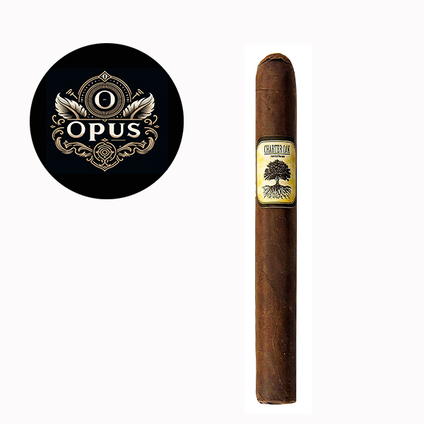 CHARTER OAK CONNECTCUT BROADLEAF - FOUNDATION CIGARS - GRANDE motoqueiro fantasma portal zacarias - CHARTER OAK CONNECTCUT BROADLEAF - FOUNDATION CIGARS - GRANDE