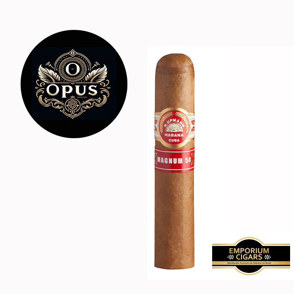 H. UPMANN MAGNUM 54 viva local massagem sp - H. UPMANN MAGNUM 54